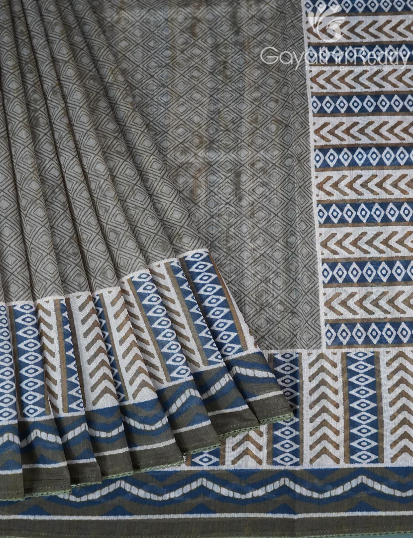 CHANDERI SILK SAREE-CPS1125 - Image 2