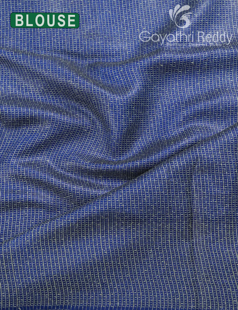 PURE DESI TUSSAR HANDWORK SAREE-TS1576 - Image 3